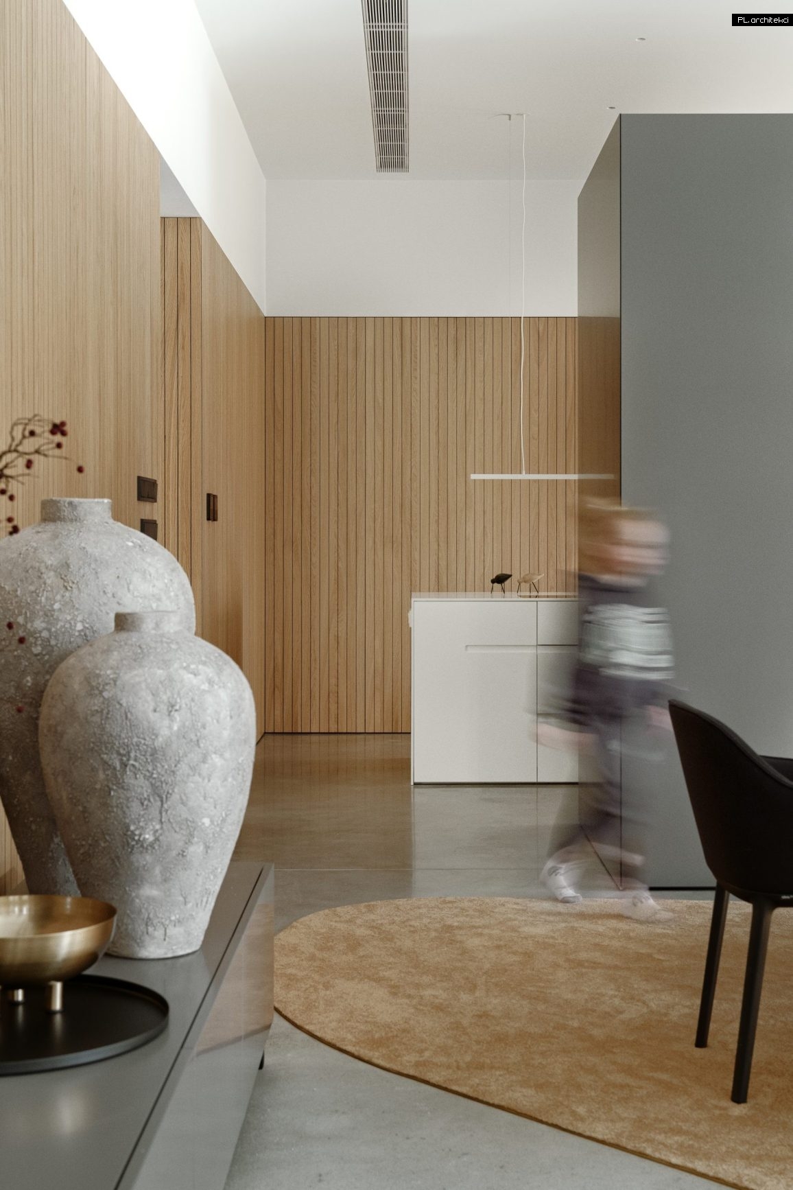 wnętrze domu betonowego przy lesie minimalistyczny design plarchitekci