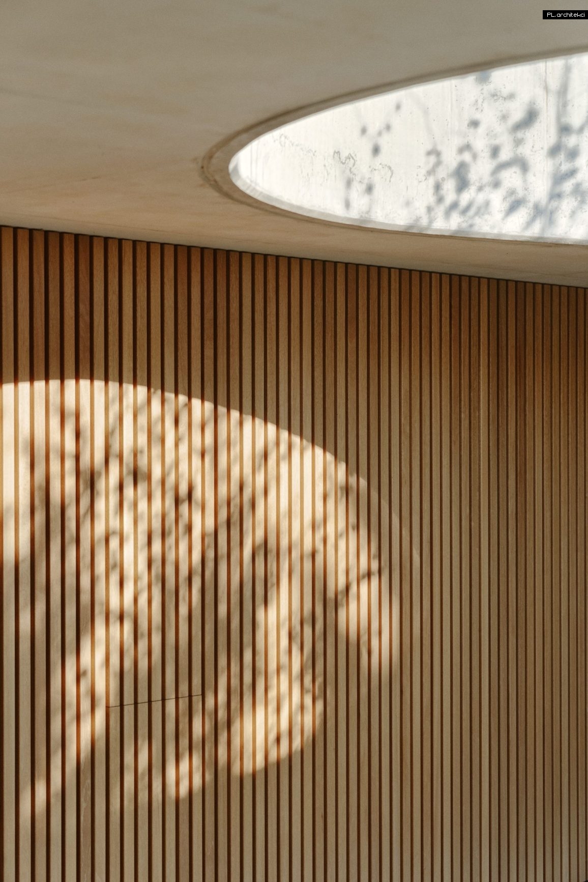 wnętrze domu betonowego przy lesie minimalistyczny design plarchitekci